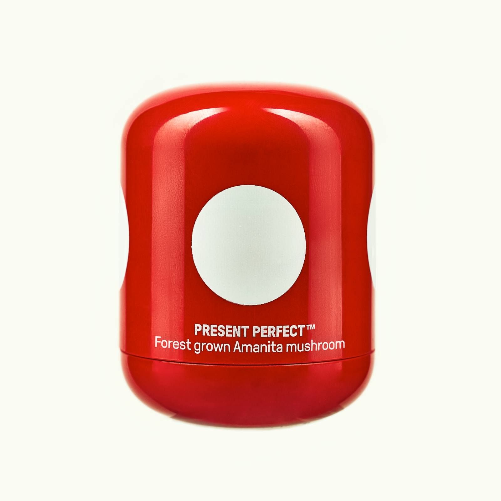 Present Perfect
